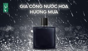 gia công nước hoa hương mưa