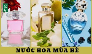 gia công nước hoa mùa hè