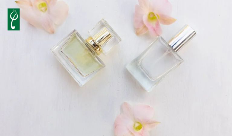 gia công nước hoa mùi mát lạnh