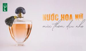 gia công nước hoa thơm dịu