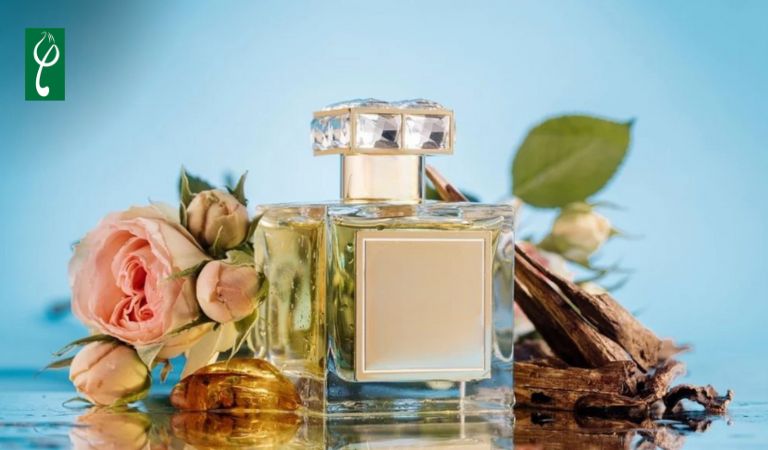 gia công nước hoa thơm lâu dịu nhẹ