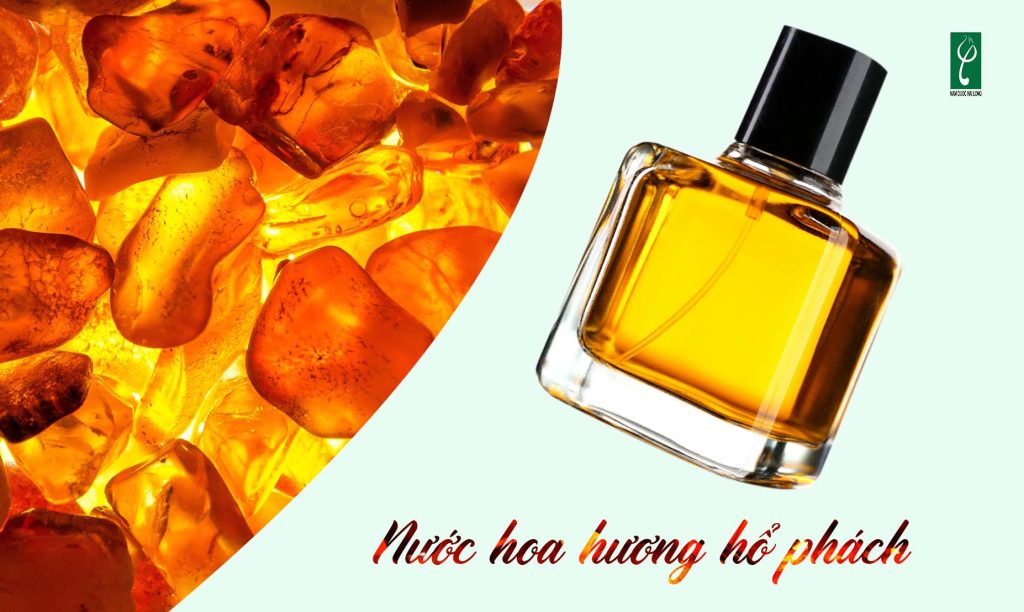 gia công nước hoa hương hổ phách