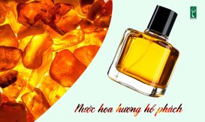 gia công nước hoa hương hổ phách