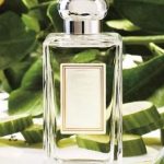 Gia công nước hoa hương dưa leo