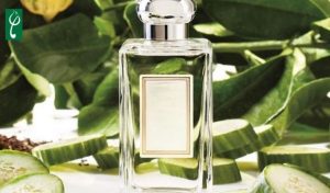 Gia công nước hoa hương dưa leo