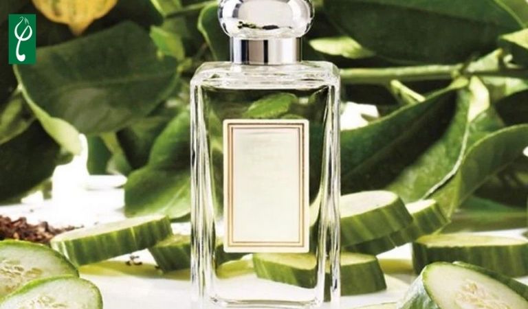 Gia công nước hoa hương dưa leo