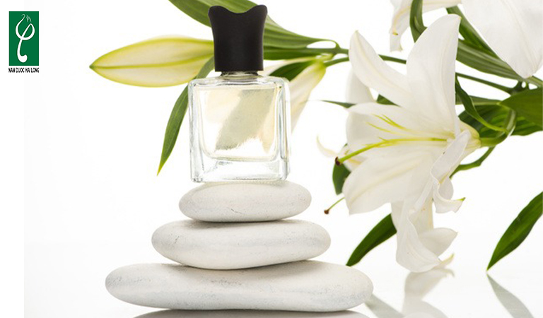 gia công nước hoa hương hoa ly