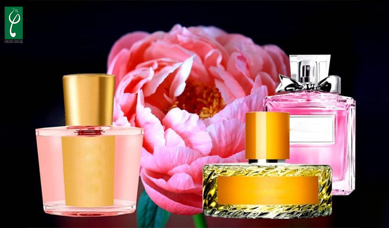 gia công nước hoa hương hoa mẫu đơn