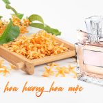 gia công nước hoa hương hoa mộc