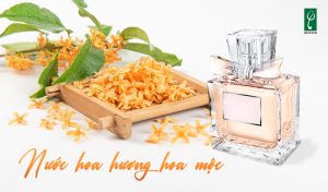 gia công nước hoa hương hoa mộc
