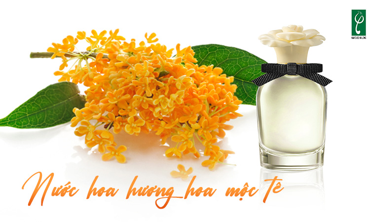 gia công nước hoa hương hoa mộc tê