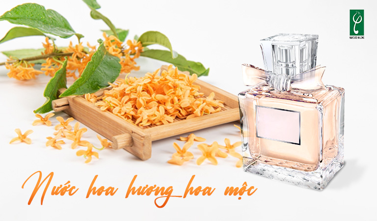 gia công nước hoa hương hoa mộc