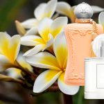 gia công nước hoa hương hoa sứ