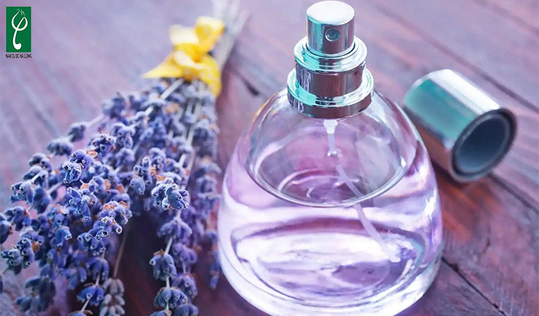 gia công nước hoa hương lavender