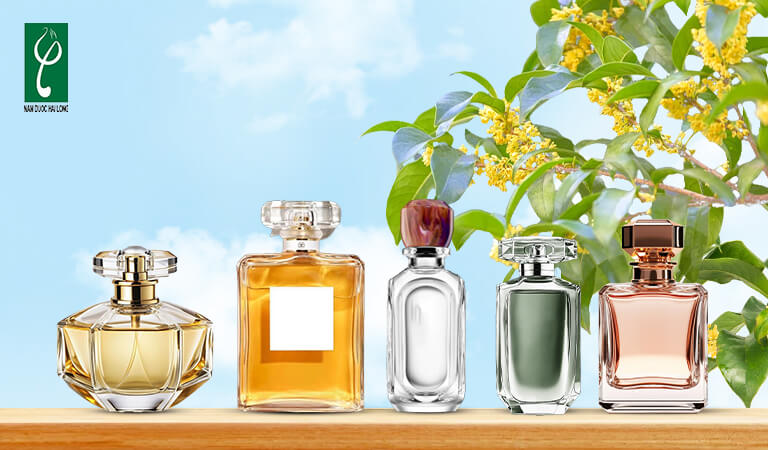 gia công nước hoa hương mộc hương