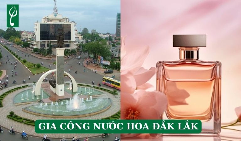 gia công nước hoa Đắk Lắk