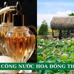 gia công nước hoa Đồng Tháp