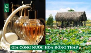 gia công nước hoa Đồng Tháp