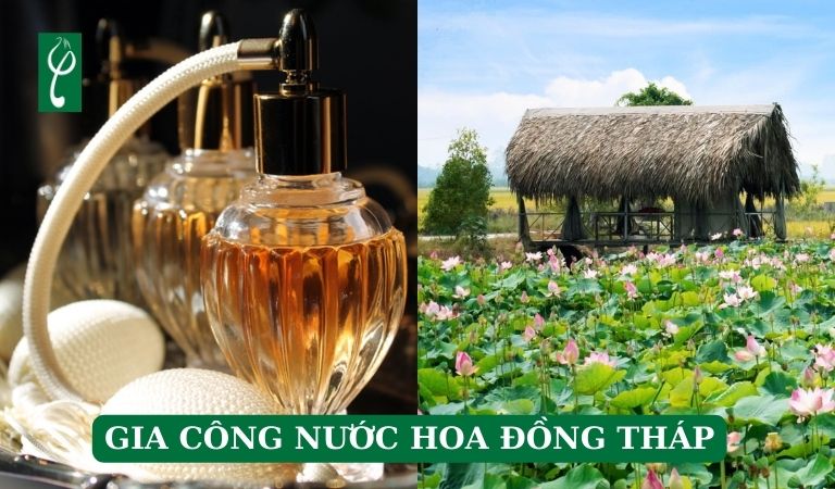 gia công nước hoa Đồng Tháp