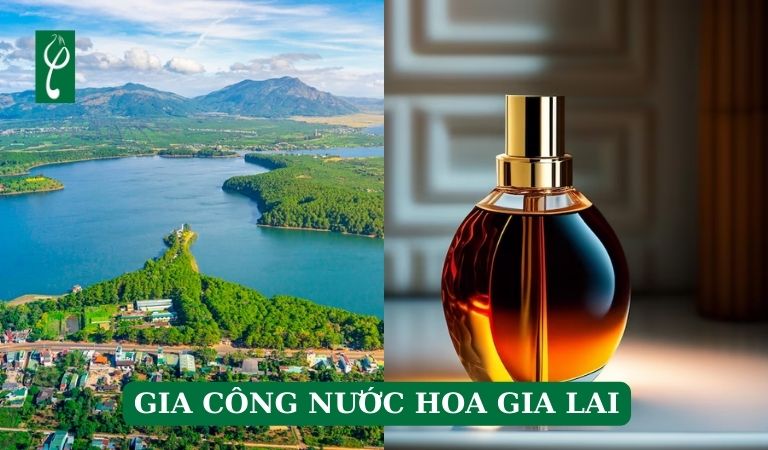 gia công nước hoa Gia Lai