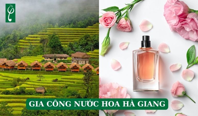 gia công nước hoa Hà Giang