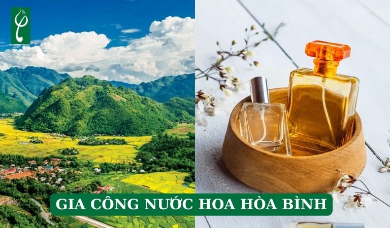 gia công nước hoa Hòa Bình