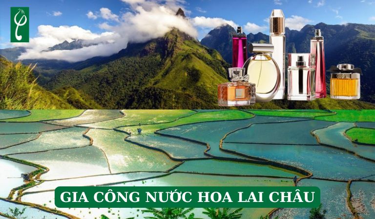 Gia công nước hoa Lai Châu