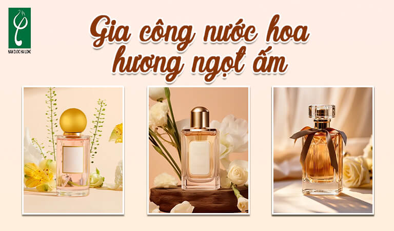 gia công nước hoa hương ngọt ấm