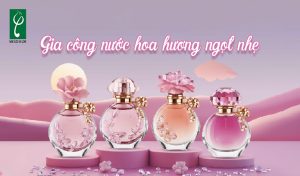 gia công nước hoa hương ngọt nhẹ