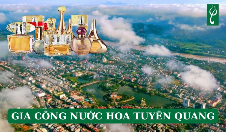 gia công nước hoa Tuyên Quang