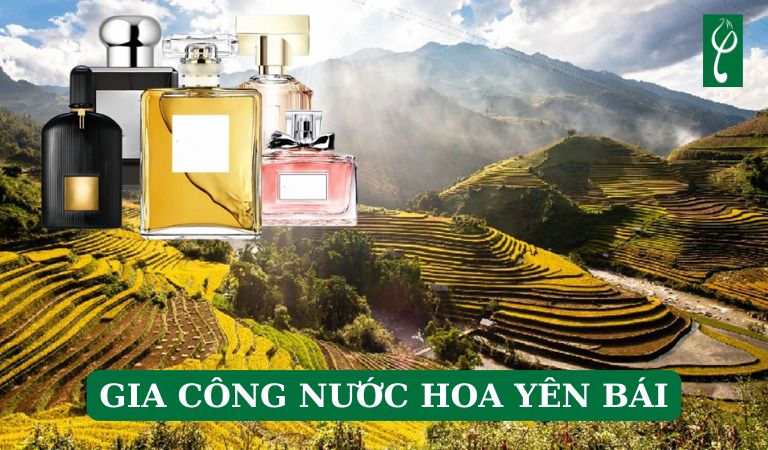 gia công nước hoa Yên Bái