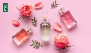những dòng nước hoa cao cấp