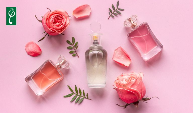 những dòng nước hoa cao cấp