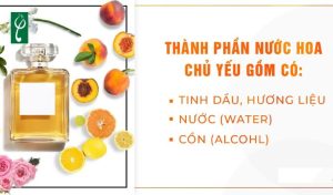 thành phần nước hoa