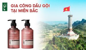 gia công dầu gội tại miền Bắc