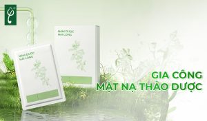 gia công mặt nạ thảo dược