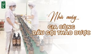 Nhà máy gia công dầu gội dược liệu