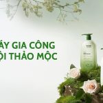 Nhà máy gia công dầu gội thảo mộc