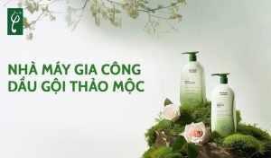 Nhà máy gia công dầu gội thảo mộc