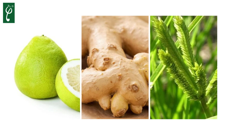 Nhà máy gia công dầu gội thảo mộc