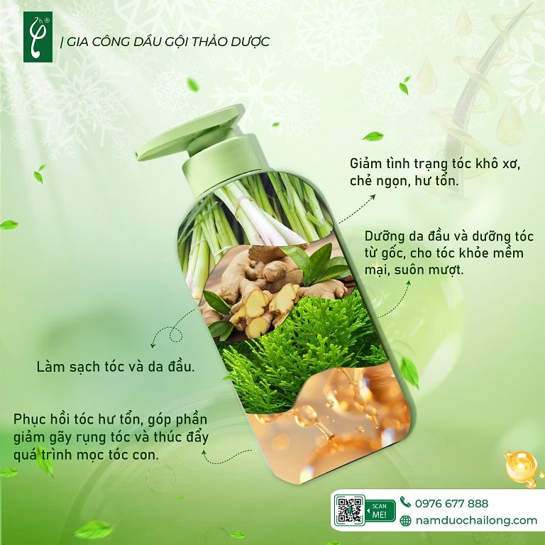 Hợp tác với nhà máy gia công dầu gội thảo dược giúp chủ đầu tư tối ưu chi phí, thời gian và nguồn lực