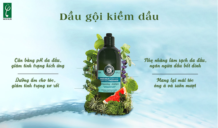 Gia công dầu gội kiềm dầu
