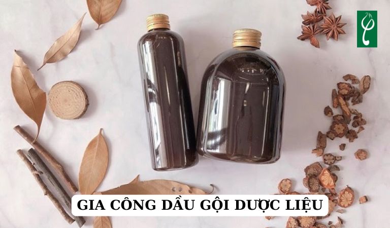 Gia công dầu gội dược liệu