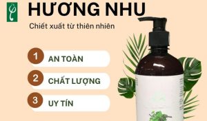 gia công dầu gội hương nhu