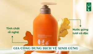 gia công dung dịch vệ sinh gừng