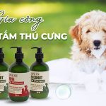 gia công sữa tắm thú cưng
