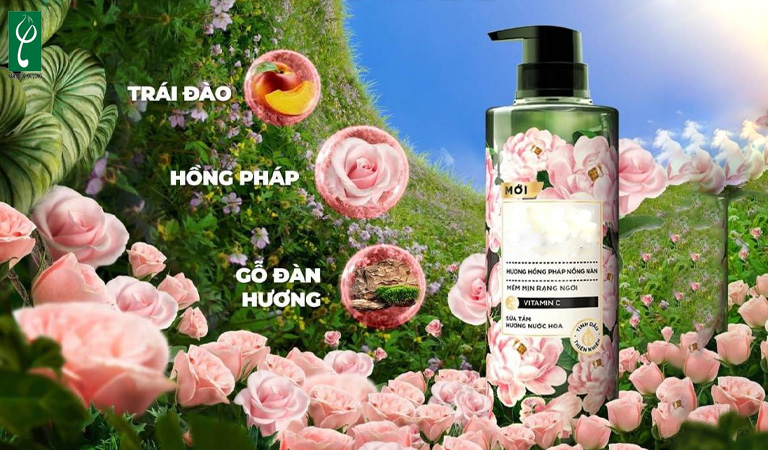 Các mùi sữa tắm hương nước hoa được ưa chuộng gia công sữa tắm hương nước hoa