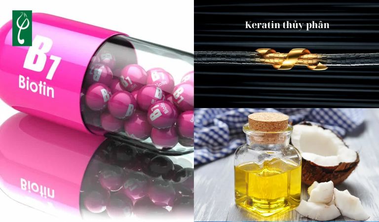 Thành phần chính dùng để gia công dầu dầu gội siêu mượt