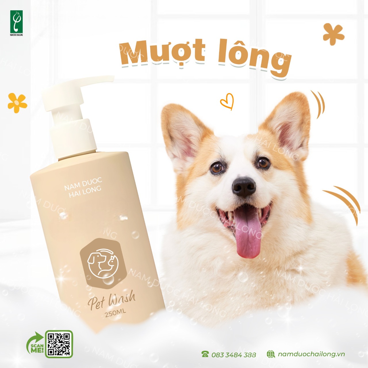 Đầu tư gia công dung dịch vệ sinh tai cho chó mèo giúp doanh nghiệp đón đầu xu hướng và mở rộng thị trường