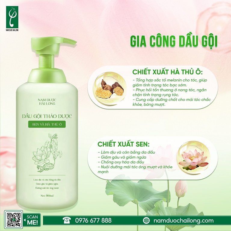 Nam dược Hải Long cung cấp dịch vụ gia công dầu gội đầu siêu mượt trọn gói